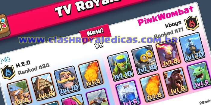 Assista a TV Royale